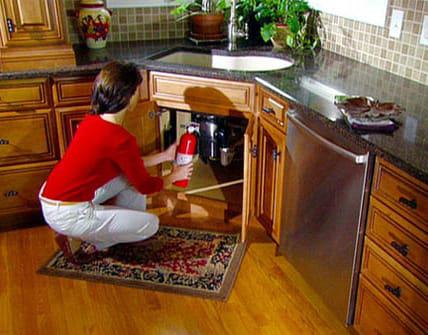 fire extinguisher placed under sink